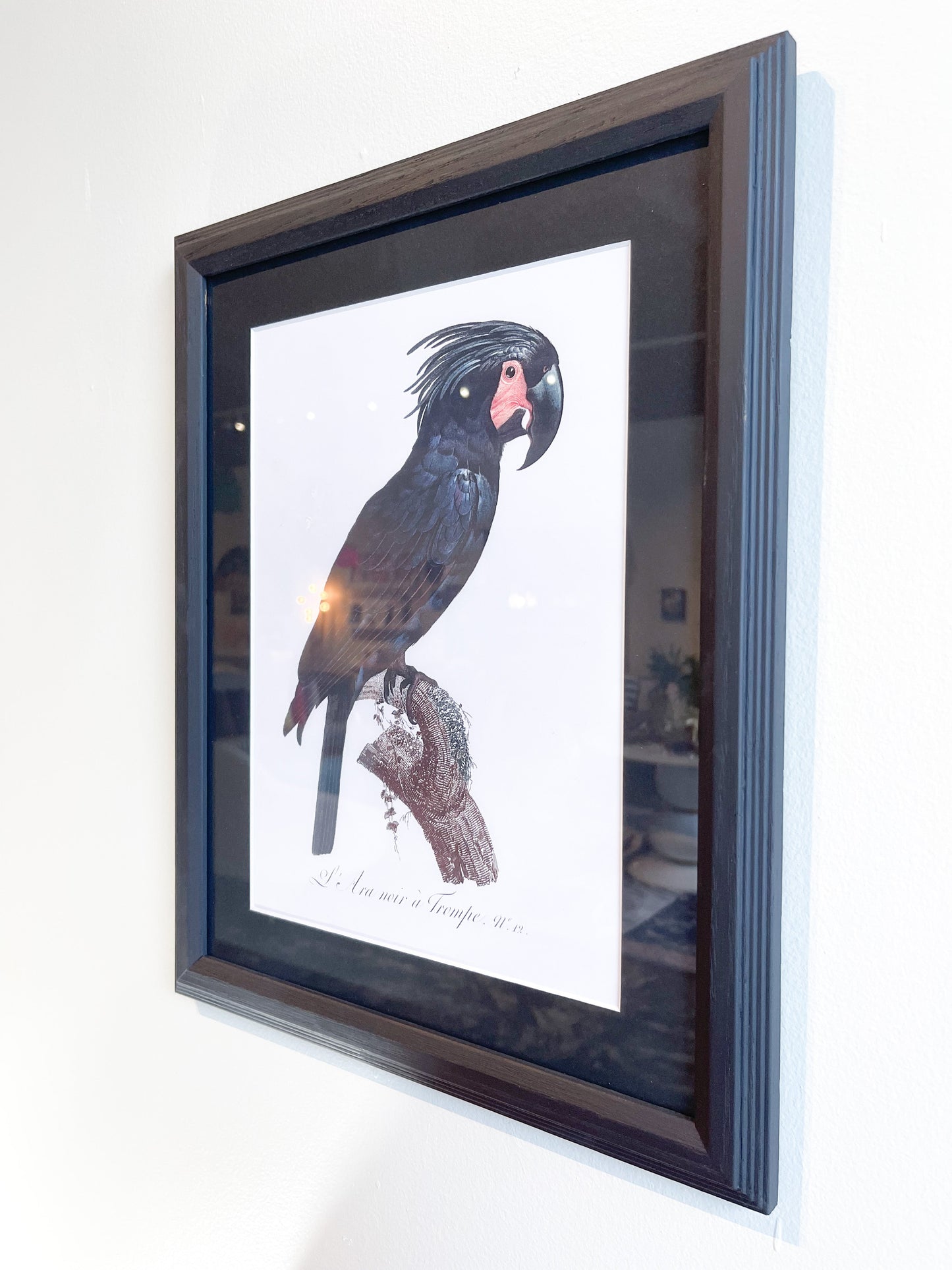 Bird Print in Vintage Frame