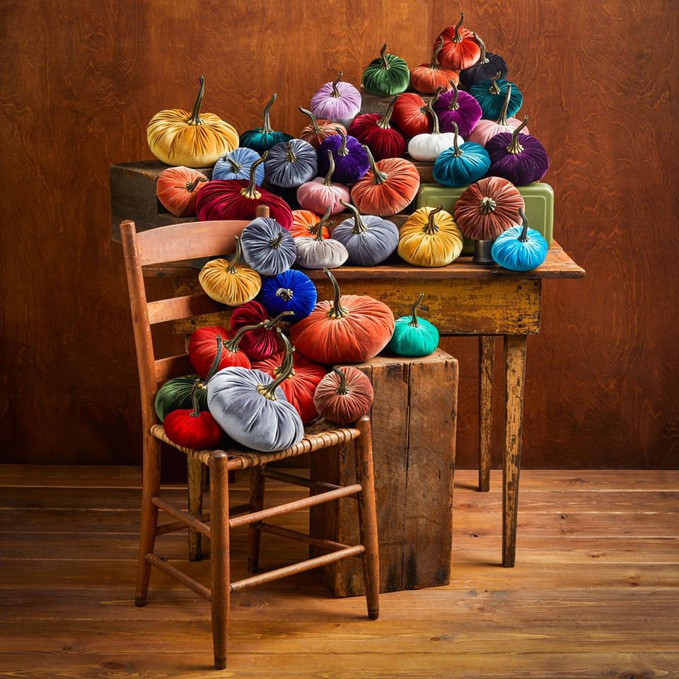 A rainbow of soft velvet pumpkins piled up on an a wooden desk and chair