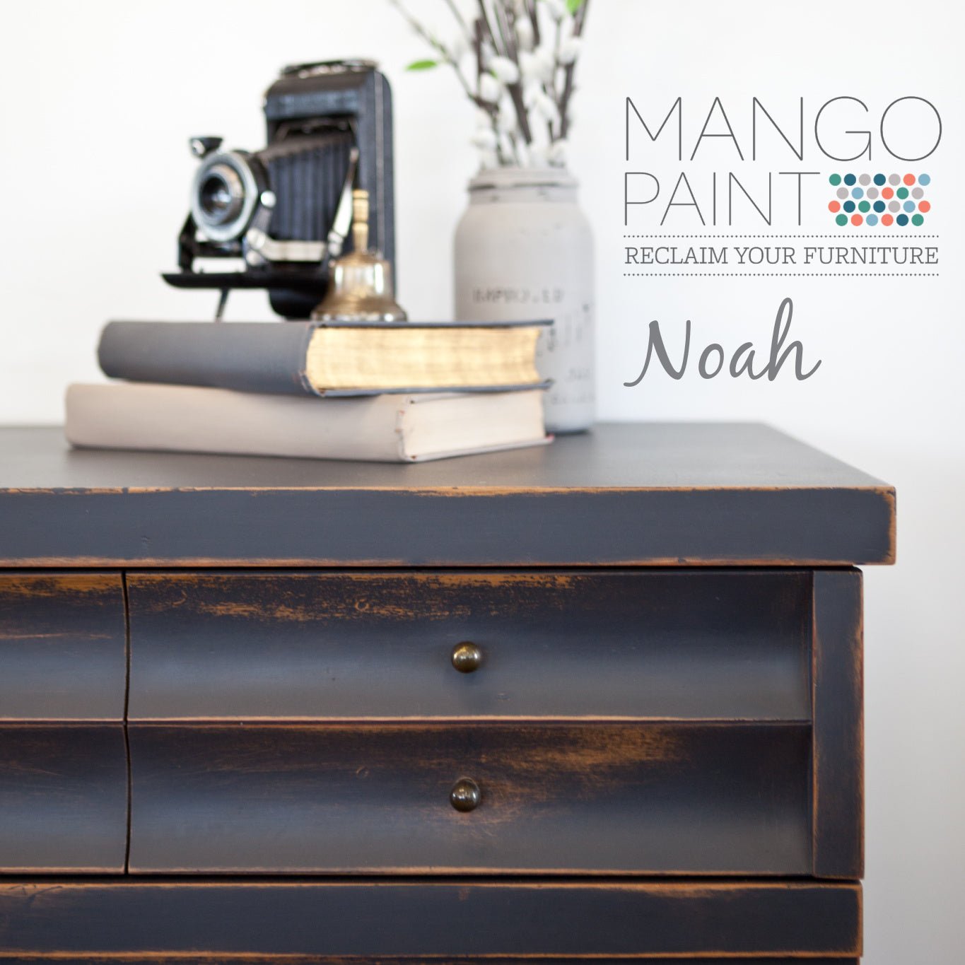 Mango Paint - Noah